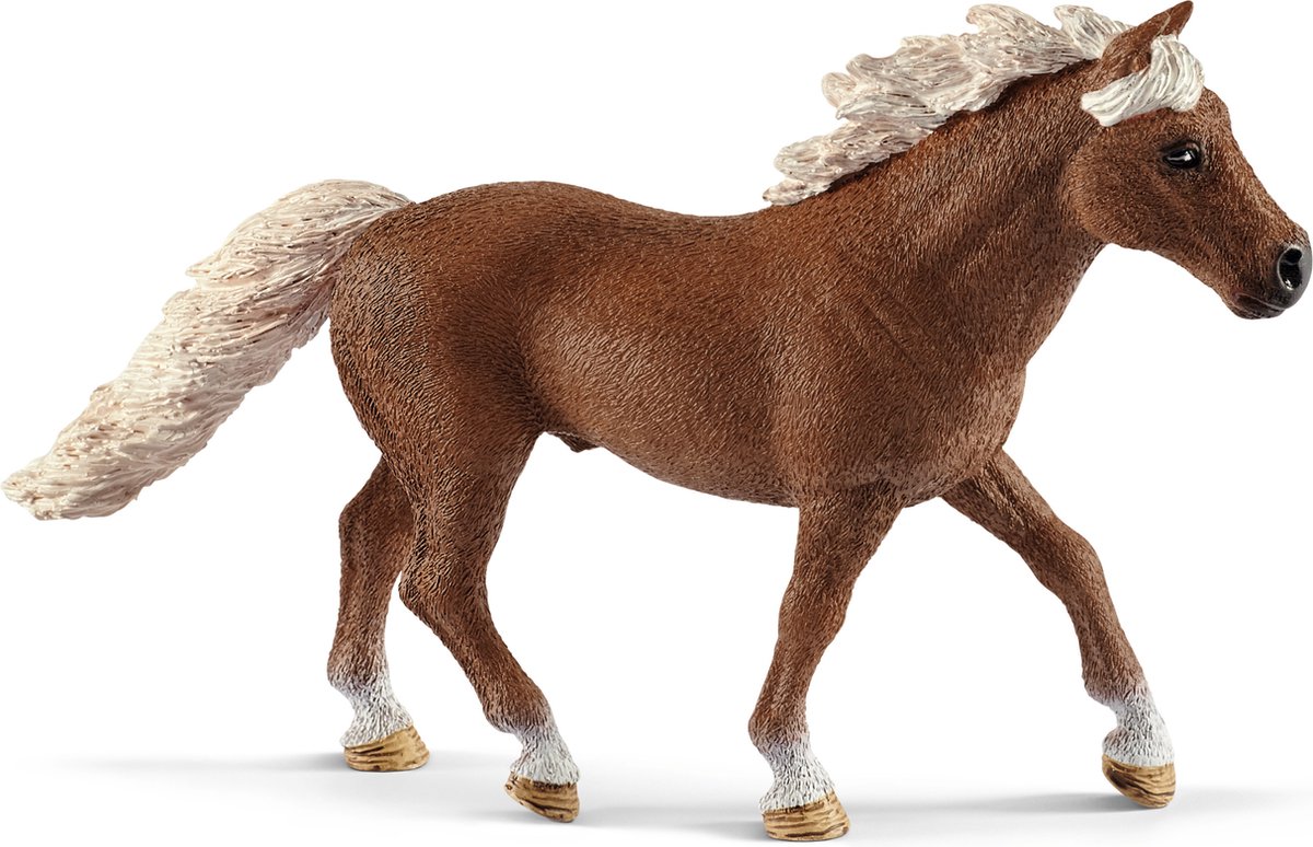 schleich FARM WORLD Speelfigurenset - Paarden Trainingskamp - Kinderspeelgoed voor Jongens en Meisjes - 3 tot 8 jaar - 41 Onderdelen - 42481 — afbeelding 13