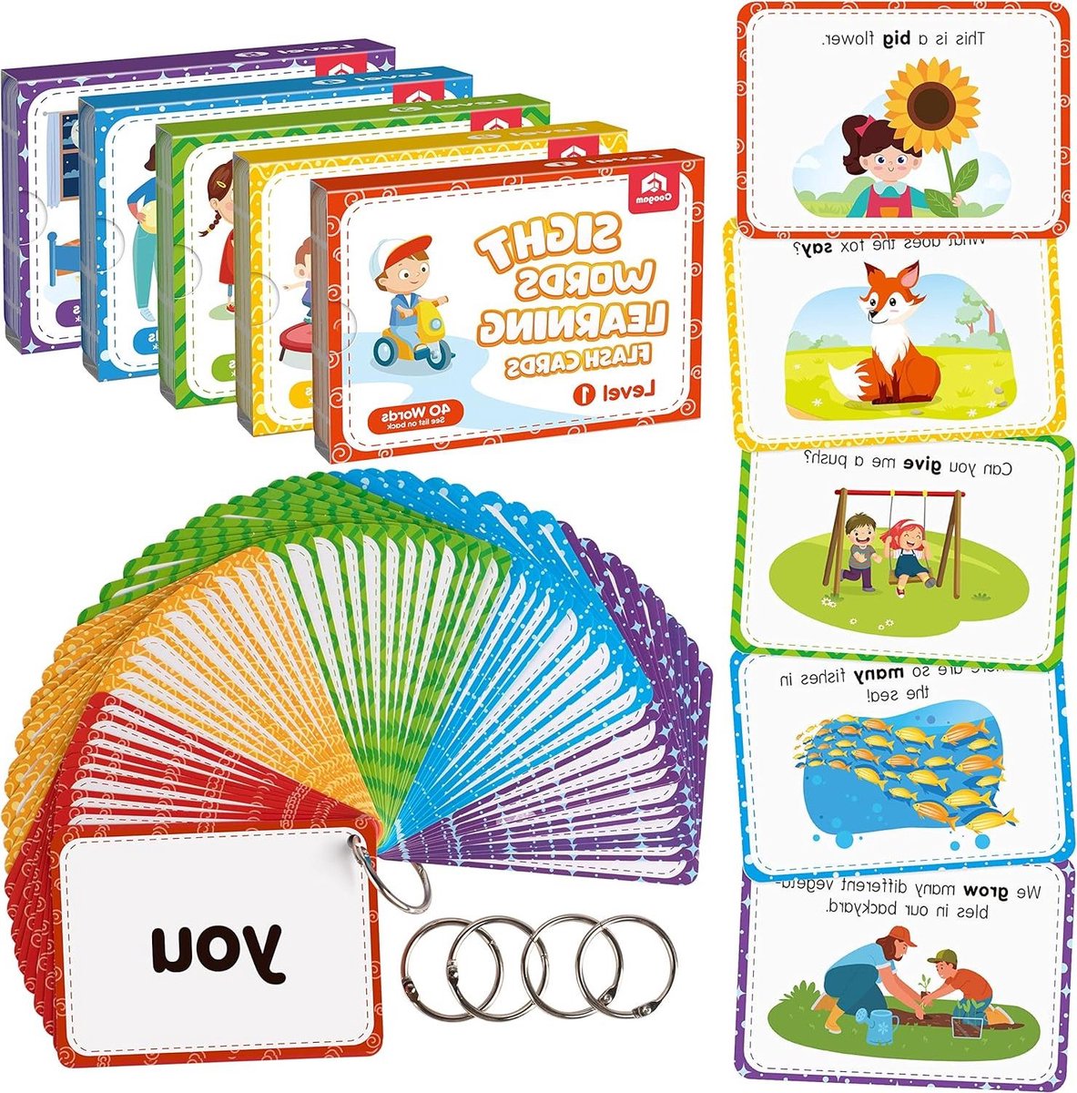 Educatieve Flashcards Dolch Sightwords Game 220 Sight Words met Foto's en Zinnen Geletterdheid Leren Leeskaarten Speelgoed voor Kleuterschool Thuis School Kinderen 3 4 5 Jaar Oud