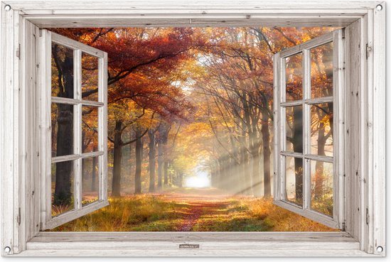Affiche de jardin 120x80 cm - Décoration de jardin Automne - Forêt - Arbres - Nature - Vue - Affiche pour le jardin - Décoration extérieure - Peinture de jardin de clôture - Décoration murale en tissu de jardin - Décoration murale en tissu de balcon