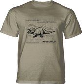 T-shirt Triceratops Fact Sheet Beige 3XL