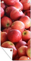 Schuttingposter Appel - Rood - Fruit - 100x200 cm - Tuindoek