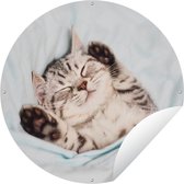 Tuincirkel Kitten - Slaap - Bed - 90x90 cm - Ronde Tuinposter - Buiten