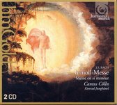 Cantus Colln - Hohe Messe Bwv (CD)