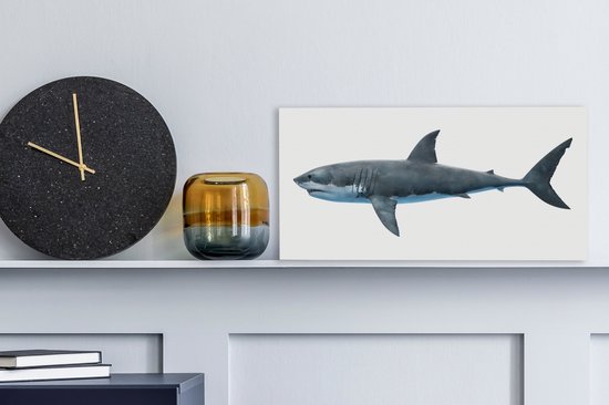 Toile Peinture Requin - Illustration - Wit - 40x20 cm - Décoration murale