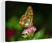 Tableau Toile Papillon - Bloem - Couleurs - 60x40 cm - Décoration murale