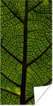 Poster Nervures des feuilles - 80x160 cm