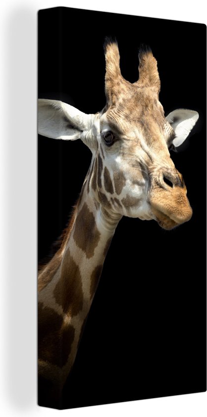 Canvas Schilderij Giraffe kop voor zwarte achtergrond - 40x80 cm - Wanddecoratie