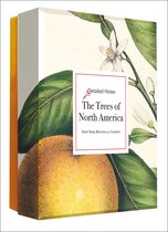 The Trees of North America: A Detailed Notes Notecard Box