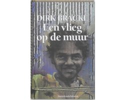 Omslag van Een vlieg op de muur