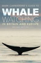 Guide Whale Watching In Britain & Europe