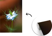 Behang - Fotobehang Felblauwe nigella bloem - Breedte 150 cm x hoogte 220 cm