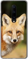 Geschikt voor OnePlus 7 Pro hoesje - Vos - Puppy - Portret - Siliconen Telefoonhoesje