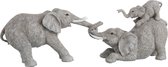 J-line Olifant Spelend 2Delig Poly Grijs