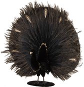 Pauw - Pauw | veren | zwart - goud | 80x18x (h)65 cm