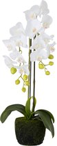Orchidee | kunststof | wit | 20x19.5x (h)58 cm