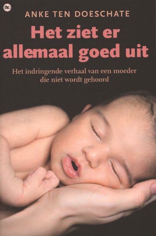 Het ziet er allemaal goed uit - cover