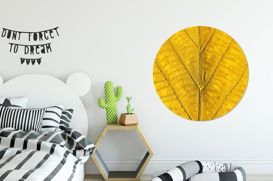 Cercle mural - Cercle mural - Feuilles - Plantes - Jaune - Aluminium - Dibond - ⌀ 90 cm - Intérieur et Extérieur