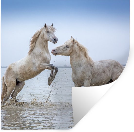 Muurstickers - Sticker Folie - Twee paarden in het water in Camargue - 80x80 cm - Plakfolie - Muurstickers Kinderkamer - Zelfklevend Behang - Zelfklevend behangpapier - Stickerfolie