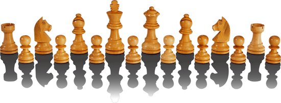 Thumbnail van een extra afbeelding van het spel The King Performance schaakcomputer