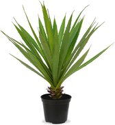 Yucca kunstplant 40 cm in pot - 100% Tevredenheidsgarantie