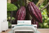 Behang - Fotobehang Rood cacaobonen in de peulenschil in de jungle van Peru - Breedte 330 cm x hoogte 220 cm