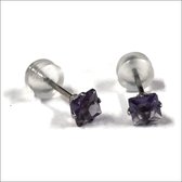 Aramat jewels ® - Zirkonia zweerknopjes vierkant 4mm oorbellen paars chirurgisch staal