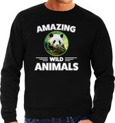 Sweater panda - zwart - heren - amazing wild animals - cadeau trui panda / pandaberen liefhebber L