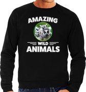 Sweater maki - zwart - heren - amazing wild animals - cadeau trui maki / ringstaart makis liefhebber M