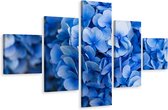 Schilderij - Paarse Hortensia, 5luik, premium print