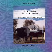 Nurse Hal Among The Amish 1 - A Promise Is A Promise-book 1-Nurse Hal Among The Amish