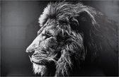 Eazy Living Canvas Poster 118 x 78 cm Leeuw
