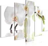 Schilderij - Wonderful Orchid (5 Parts) Wide.