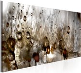 Schilderij - Drops of Water.