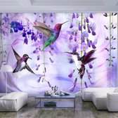 Zelfklevend fotobehang - Flying Hummingbirds (Violet).