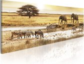 Schilderij - Africa: at the waterhole.