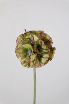 Kunstbloem - Scabiosa - topkwaliteit decoratie - 2 stuks - zijden bloem - Groen - 56 cm hoog