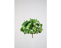 Kunstbloem - Oxalis - geluksklaver - topkwaliteit decoratie - 2 stuks - zijden bloem - Wit - 20 cm hoog