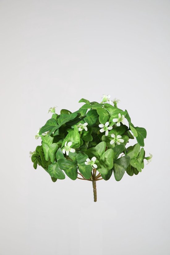 Kunstbloem - Oxalis - geluksklaver - topkwaliteit decoratie - 2 stuks - zijden bloem - Wit - 20 cm hoog