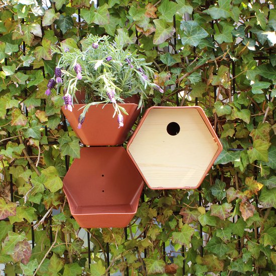 Capi Europe - Plantenbakje Hive - 19x23x20 - Antraciet - Capi ...