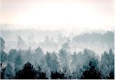 Zelfklevend fotobehang - Winter Forest.