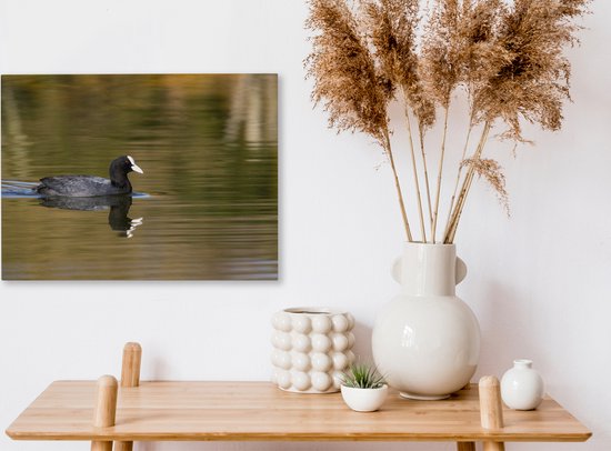 Tableau sur toile Foulque dans l'eau - 40x30 cm - Décoration murale