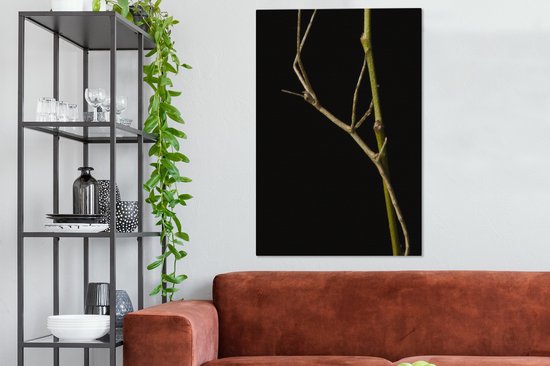 Tableau sur toile Phasme assis sur une branche - 90x140 cm - Décoration murale