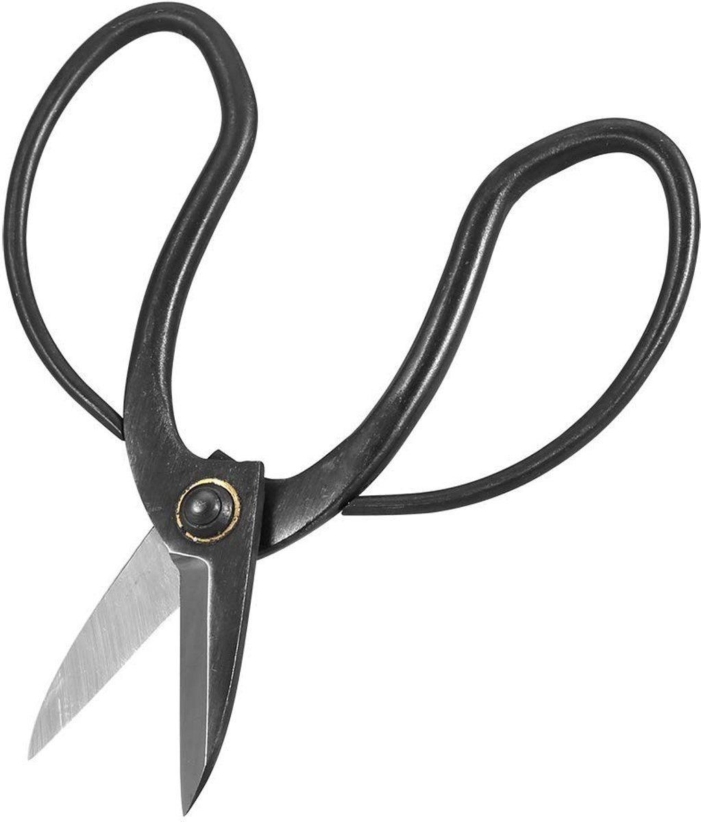 Dailygoods - Bypass Snoeischaar - RVS Tuinschaar - Ergonomische Grip - Tuinonderhoud - Snoeien - Tuinwerk - Geschikt voor tuinliefhebbers - Kleur RVS