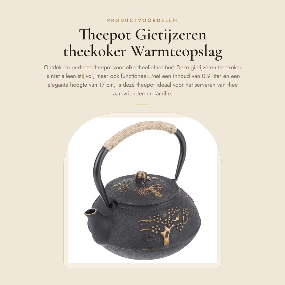 Dailygoods- Theepot Gietijzer - Dubbelwandig - Warmteopslag - Corrosiebestendig - Geschikt voor Inductiekookplaat - Inhoud 0,9 l - Theeketel