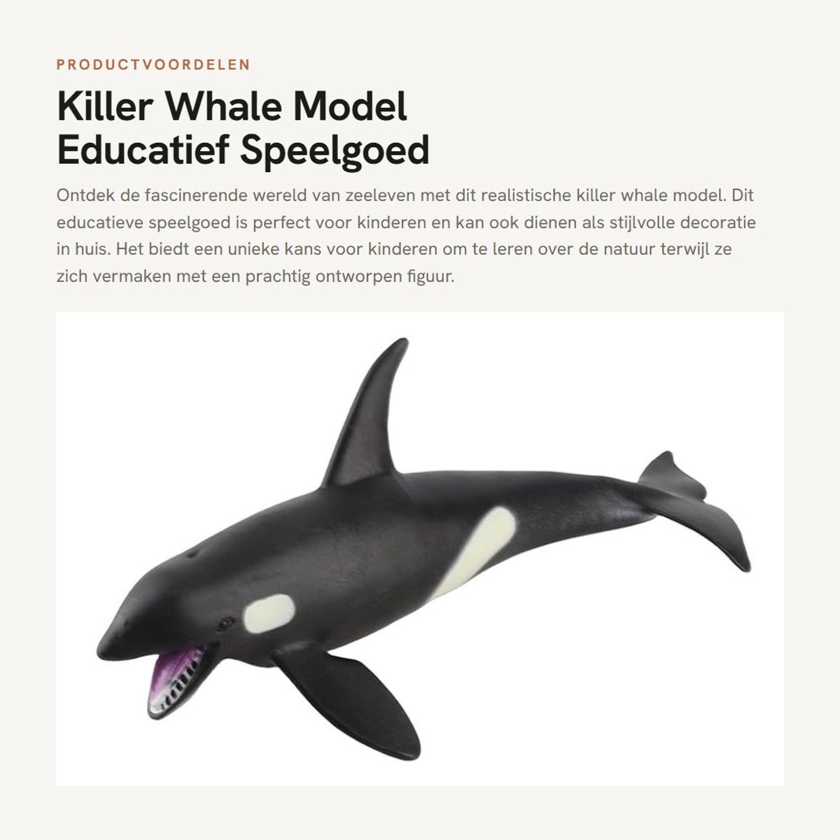 Dailygoods- Walvis Model Educatief - Dierenfiguren Speelgoed - Huisdecoratie - Verjaardagscadeau - Creatief Spel - Realistisch Dierenfiguur