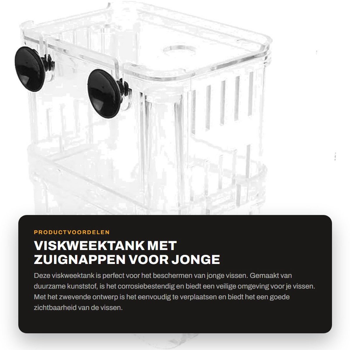 Dailygoods- Viskweektank - Dubbellaags ontwerp - Antislip zuignappen - Duurzaam kunststof - Corrosiebestendig - Afmetingen 10 x 7 x 13 cm - Kweekbox
