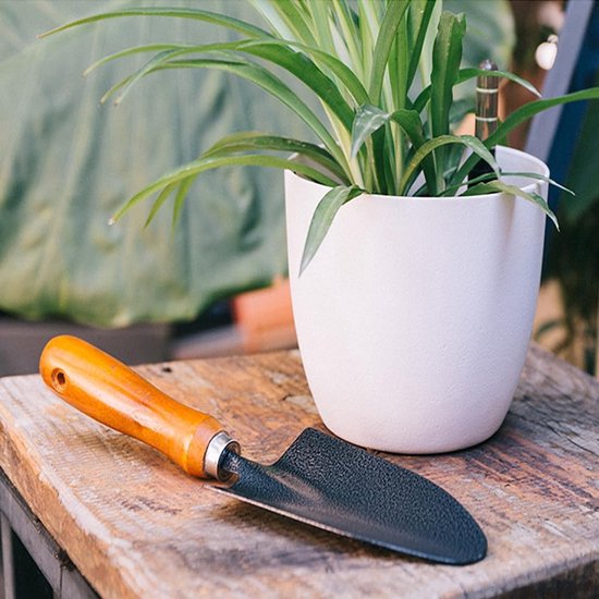 Mini tuingereedschap set - Houten handvatten - Bodem voorbereiden - Duurzaam en roestvrij - 25 cm lengte - Niet gespecificeerd van MINI — afbeelding 2