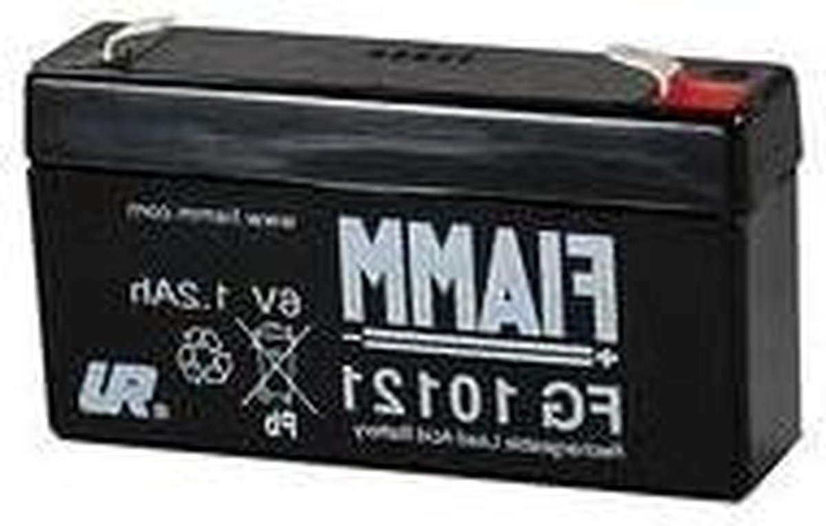 Accu - Batterij - Motor Onderhoud - 6 Volt - 12Ah - Zwart