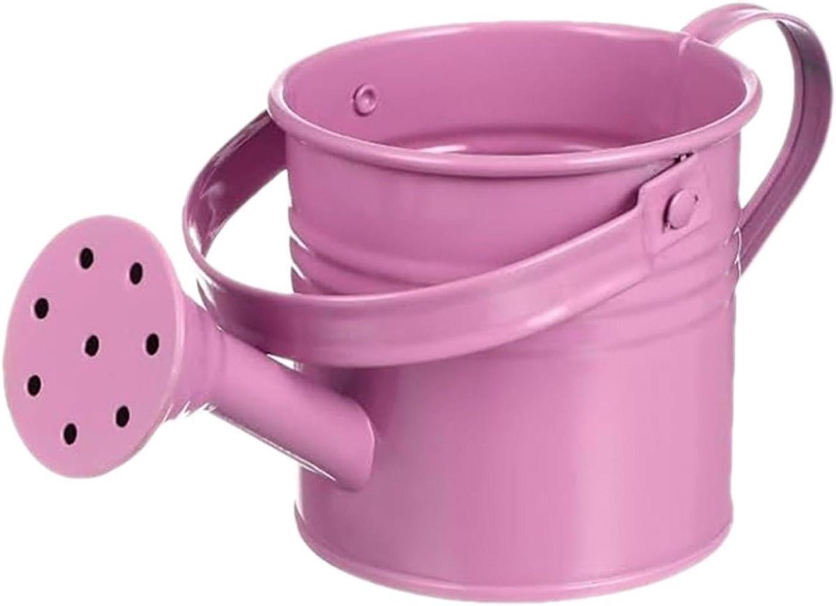 Decoratieve Gieter - Tuingieter Plantenbak - Planten Water Geven - Roestbestendig Gegalvaniseerd - 8 x 8 x 8 cm - Roze