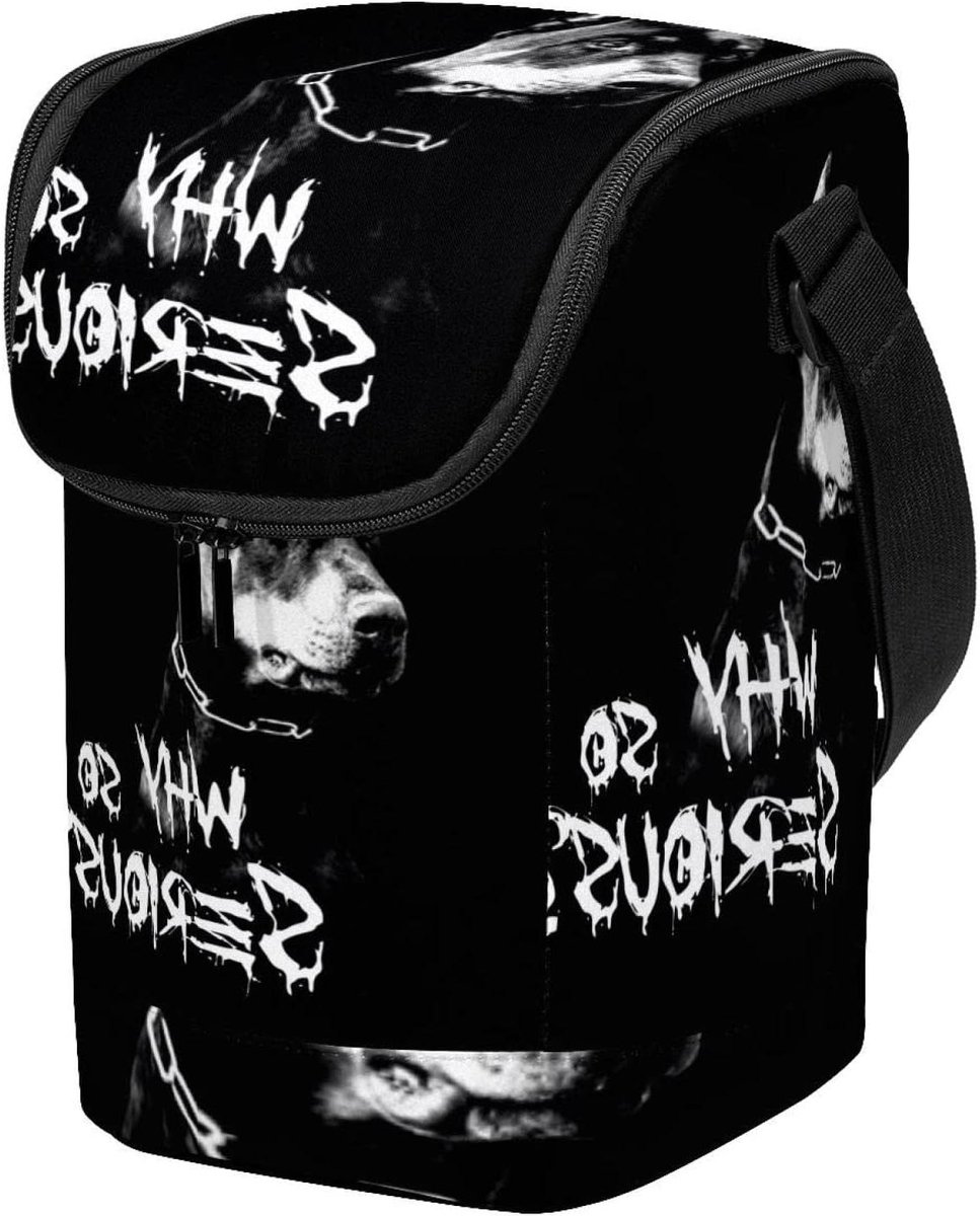 Lunch Koeltas - Lunchbox - Lunch Meenemen - Verstelbare Schouderband - 31x18x18 cm - Multicolor